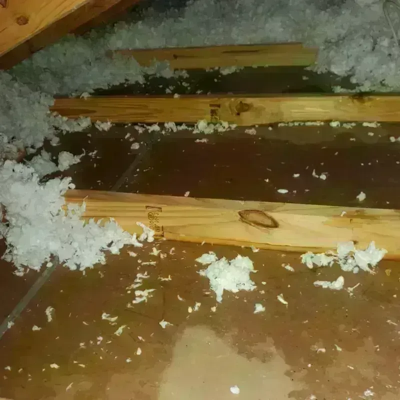 Attic Water Damage in Rancho Mirage, CA